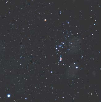 Orion photo #3